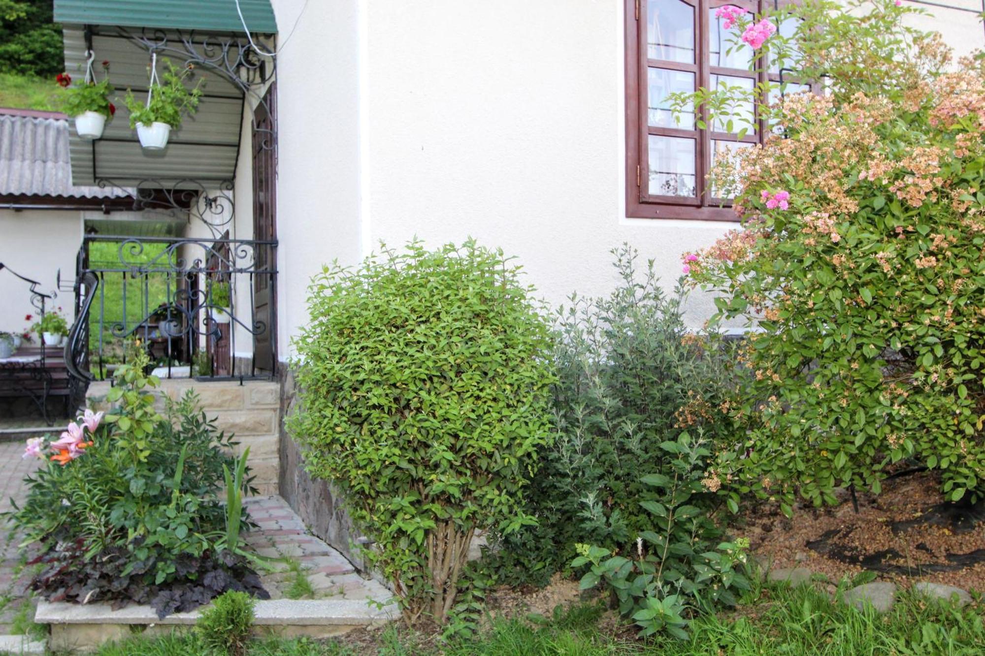 Котедж "Красний Краєвид" Jaremtsche Exterior foto